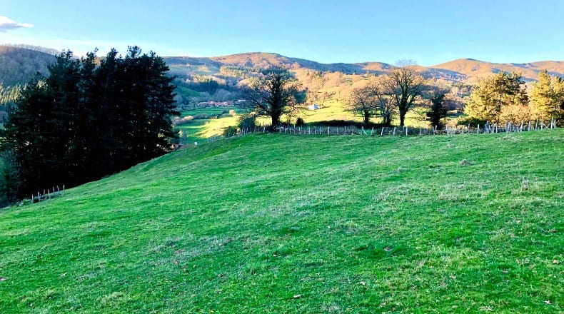 Cantabria - Barriopalacio - 7983m2
