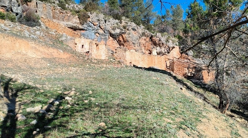 Albacete - Bogarra - 250000m2