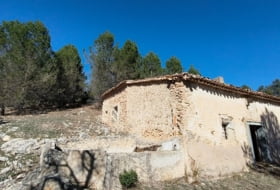 Bogarra 250000&nbsp;m² 