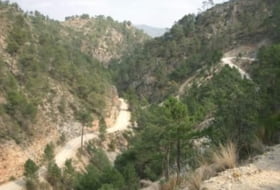 Bogarra 250000&nbsp;m² 