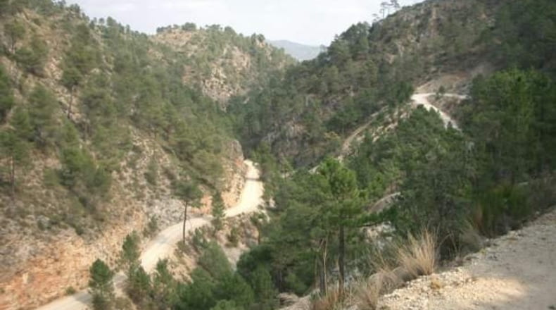Albacete - Bogarra - 250000m2
