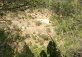 Finca rústica en venta en la Bogarra, ref: TR102031 foto