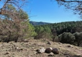 Finca rústica en venta en la Bogarra, ref: TR102031 foto