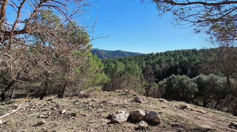 Albacete - Bogarra - 250000m2