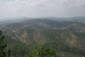 Bogarra 250000&nbsp;m² 