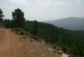 Bogarra 250000&nbsp;m² 