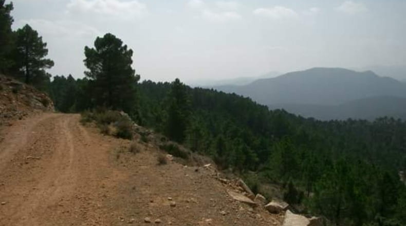 Albacete - Bogarra - 250000m2