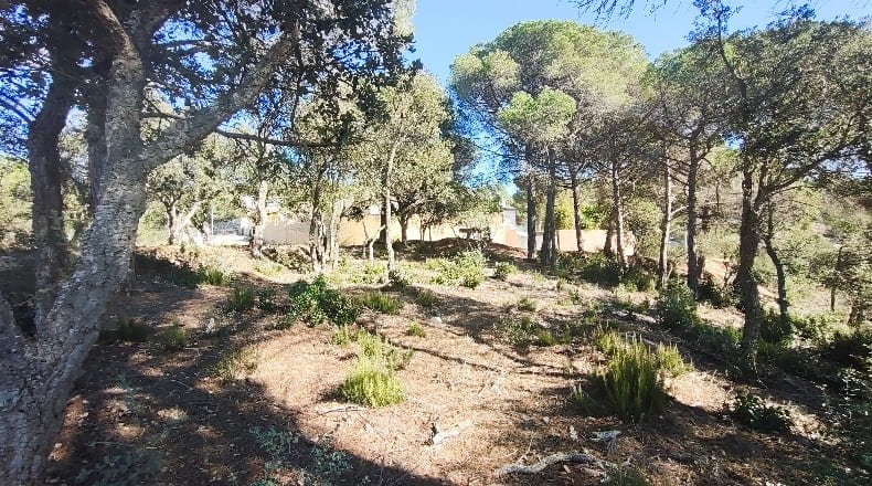 Gerona - Lloret de Mar - 2000m2