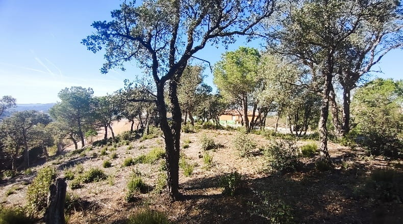 Gerona - Lloret de Mar - 2000m2