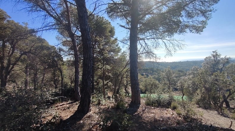 Gerona - Lloret de Mar - 2000m2