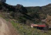 Дом с участком на продажу в городе Ardales Фото