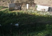 Дом с участком на продажу в городе Ardales Фото