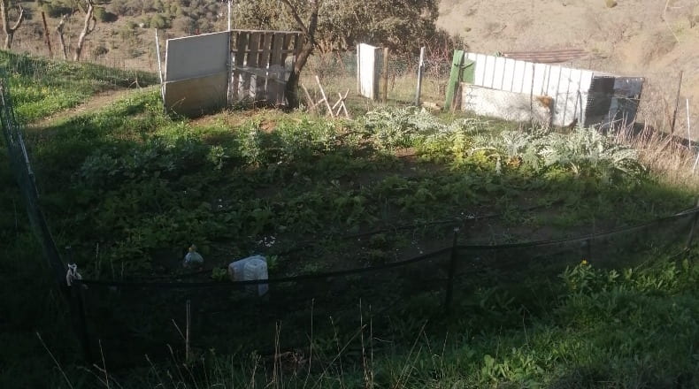 Málaga - Ardales - 7850m2