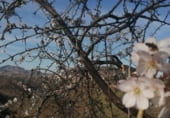 Дом с участком на продажу в городе Ardales Фото