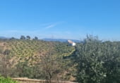 Finca rústica en venta en la carretera cardeña, Montoro, ref: TR102045 foto