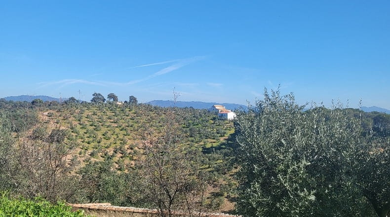 Córdoba - Montoro - 80000m2
