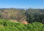 Finca rústica en venta en la carretera cardeña, Montoro, ref: TR102045 foto