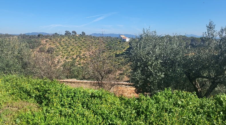 Córdoba - Montoro - 80000m2