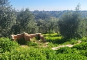 Finca rústica en venta en la carretera cardeña, Montoro, ref: TR102045 foto