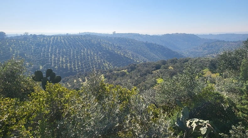 Córdoba - Montoro - 80000m2