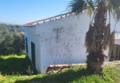Finca rústica en venta en la carretera cardeña, Montoro, ref: TR102045 foto