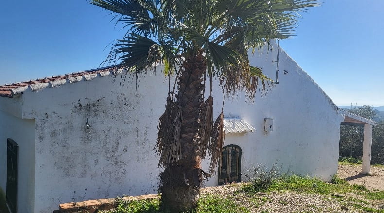 Córdoba - Montoro - 80000m2