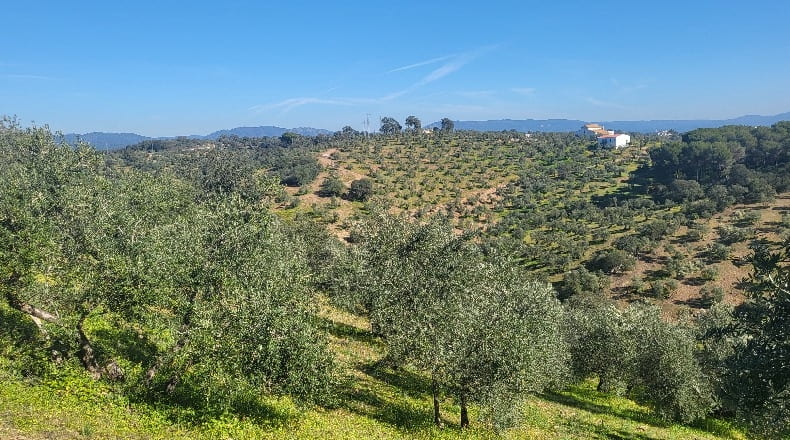 Córdoba - Montoro - 80000m2