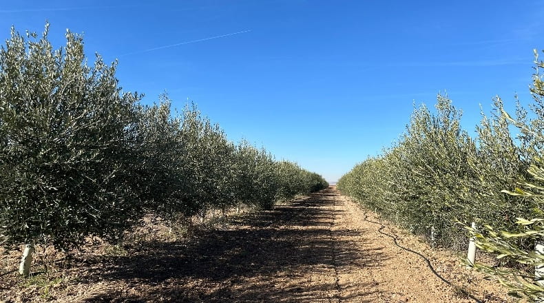 Toledo - La Villa de Don Fadrique - 33413m2