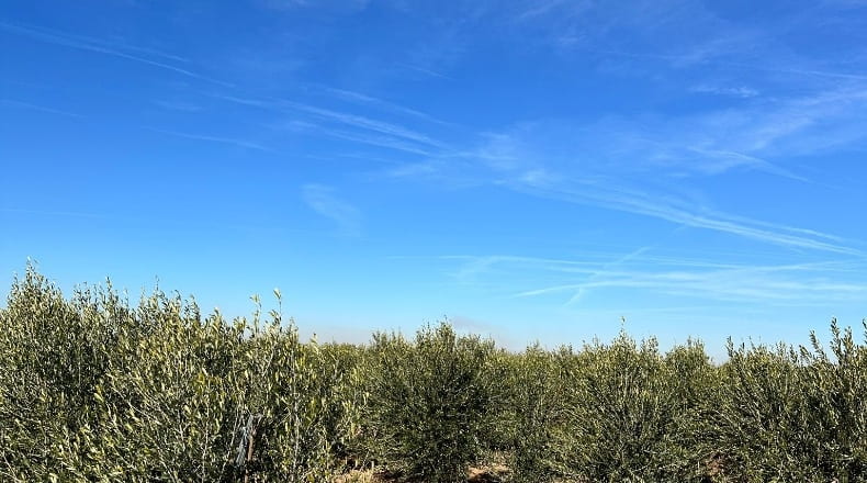 Toledo - La Villa de Don Fadrique - 33413m2