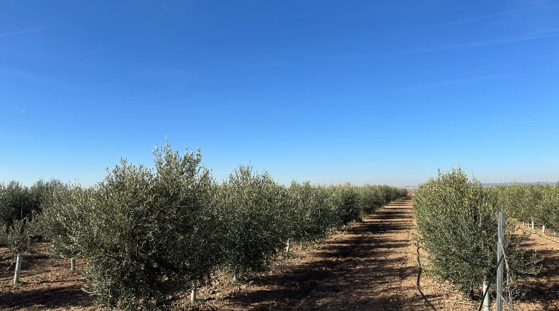 Toledo - La Villa de Don Fadrique - 33413m2