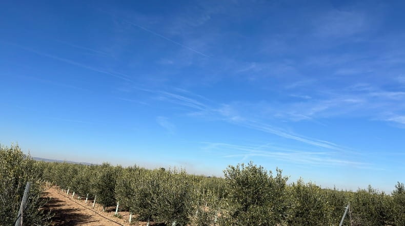 Toledo - La Villa de Don Fadrique - 33413m2