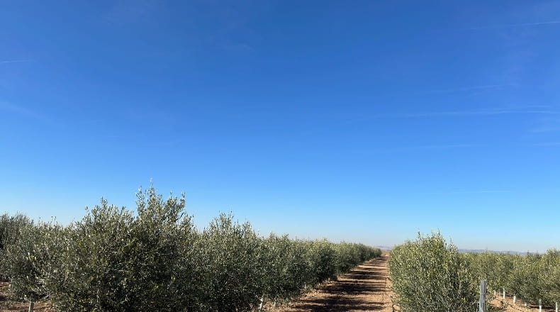 Toledo - La Villa de Don Fadrique - 33413m2