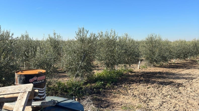 Toledo - La Villa de Don Fadrique - 33413m2