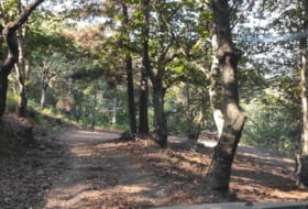 Jubrique 90000&nbsp;m² 