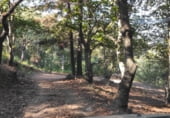 Finca rústica en venda a la Carretera Ubrique-El Bosque, Jubrique, ref.: TR102172 foto