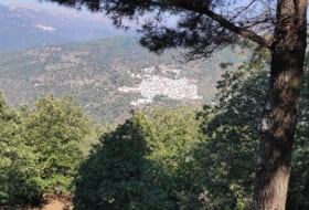 Jubrique 90000&nbsp;m² 