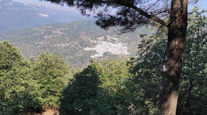 Málaga - Jubrique - 90000m2