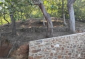 Finca rústica en venda a la Carretera Ubrique-El Bosque, Jubrique, ref.: TR102172 foto