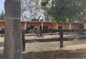 Casa de camp amb terreny en venda a la ESTEPONA, Estepona, ref.: TR102173 foto