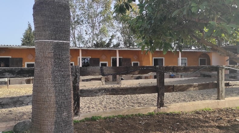 Málaga - Estepona - 6000m2