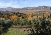 Casa de poble en venda a la CRTRA RONDA BENAOJAN, Ronda, ref.: TR102174 foto