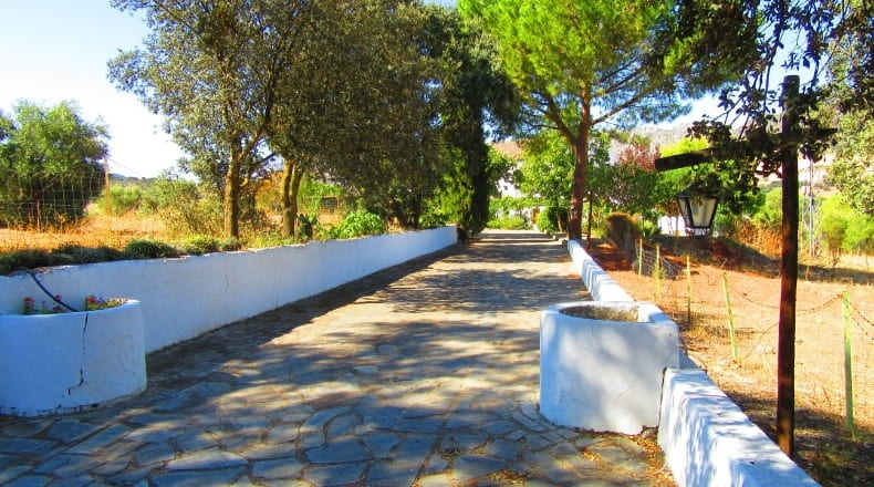Málaga - Ronda - 28000m2