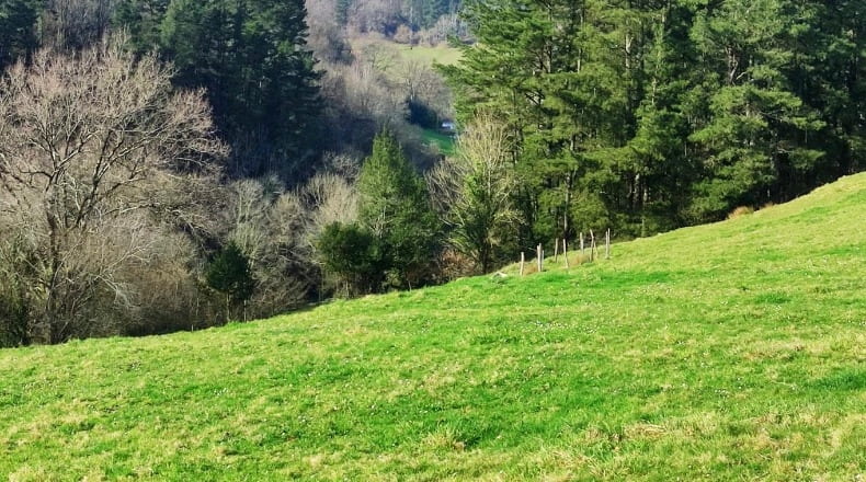 Cantabria - Barriopalacio - 7983m2