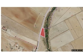 Berlanga 1616&nbsp;m² 