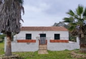 Casa de piedra con terreno en venta en la A-493, Valverde del Camino, ref: TR102220 foto