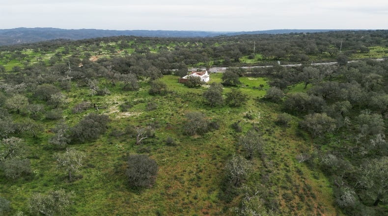 Huelva - Valverde del Camino - 500000m2