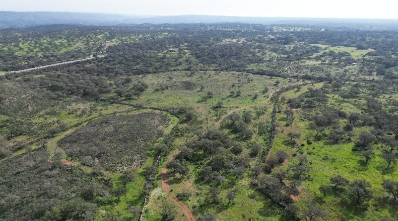Huelva - Valverde del Camino - 500000m2