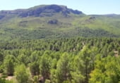 Земельный участок на продажу в городе Yeste Фото