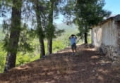 Земельный участок на продажу в городе Yeste Фото