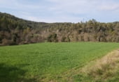 Finca rústica en venda a la BV-4401, Gaià, ref.: TR102357 foto